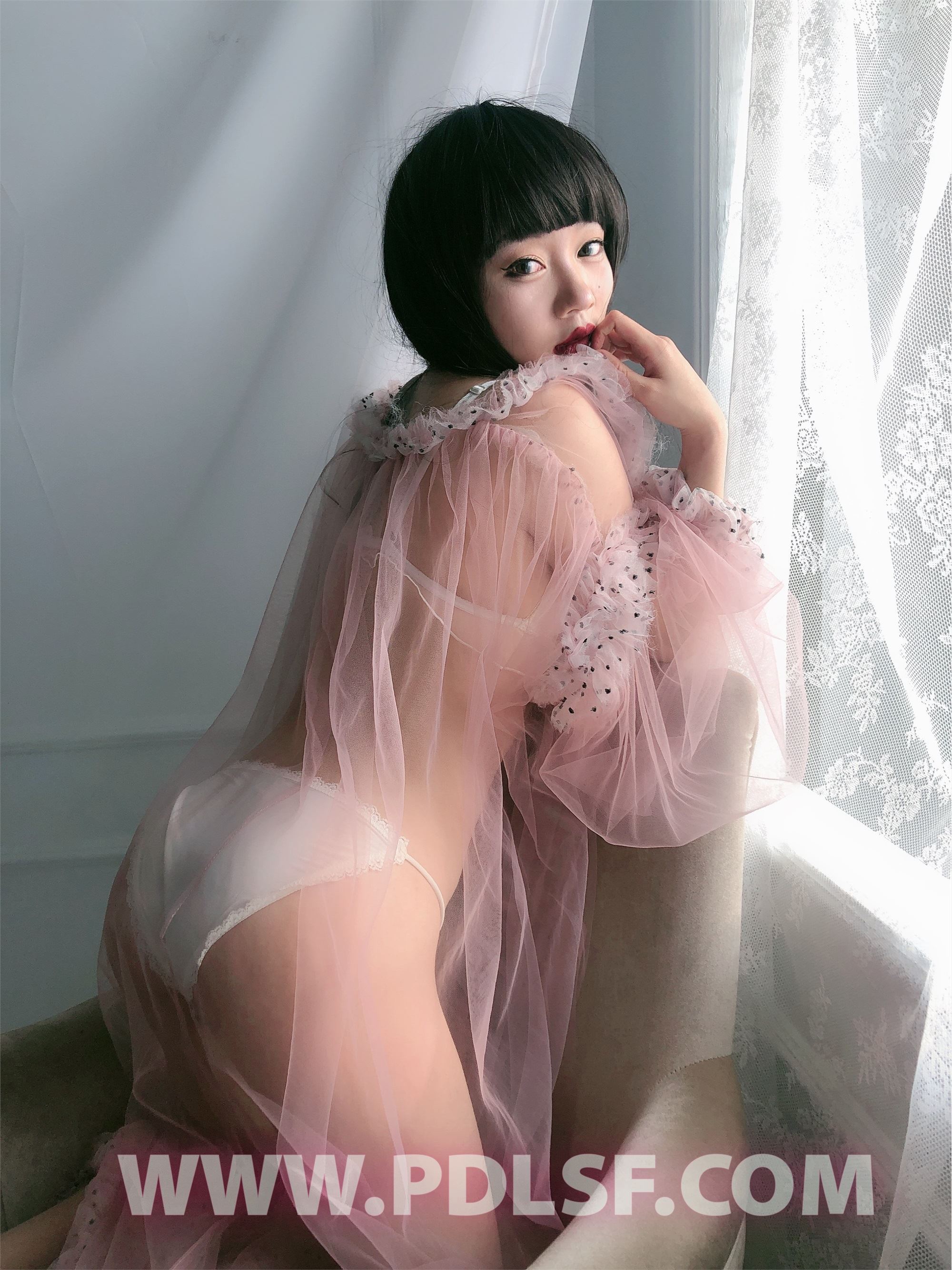 PDL潘多拉 2020.02.03 专辑No.275